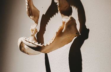 Skippers Inn - Photo 79