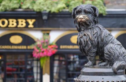 Peaceful Edinburgh Retreat - Quiet Central 1-Bed - Foto 31