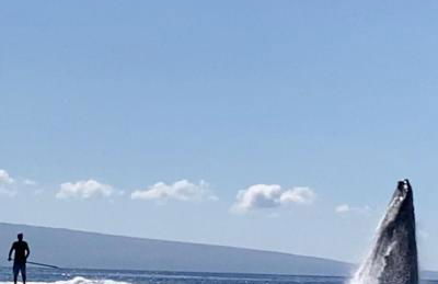 Molokai Island Retreat with Beautiful Ocean Views and Pool - Newly Remodeled! - Foto 41