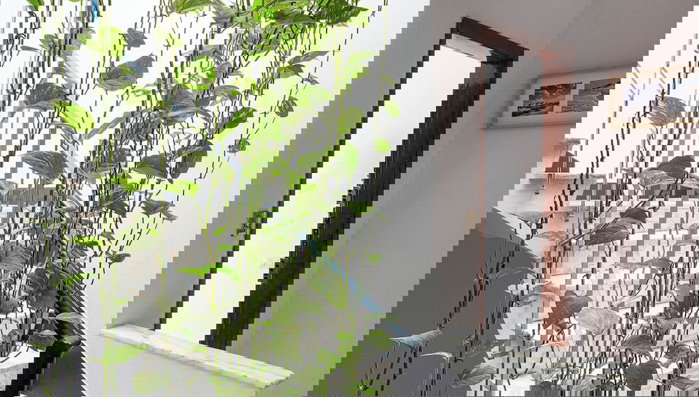 Entrada (vista interior)