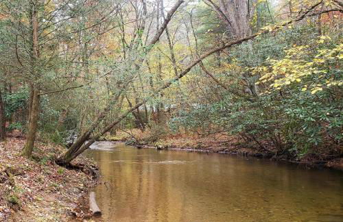 Sweet Serenity Creek - Foto 42