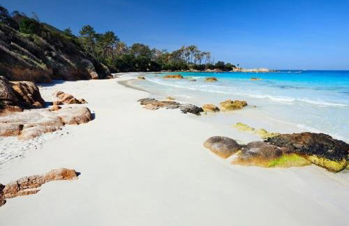 T2 PORTICCIO AGOSTA PLAGE 100M DE LA PLAGE - Foto 27