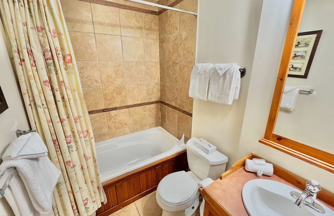 Le Plateau - RVMT - Foto 74