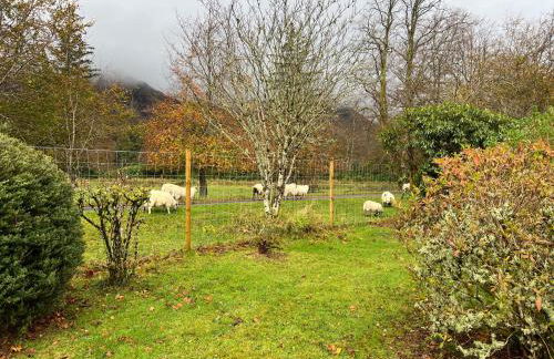 Croft 11 Clovullin - Photo 16