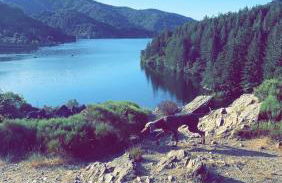 Le Mazet de la Régordane - Foto 4