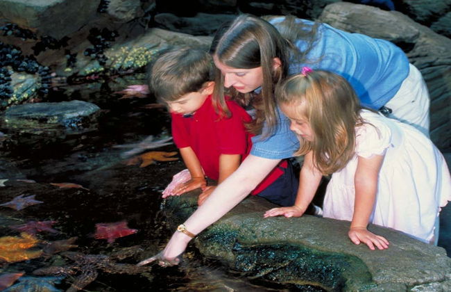 Entrada al Aquarium of the Bay - Foto 7