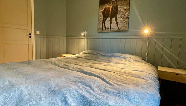 10 Person Holiday Home in Auklandshamn - Foto 5, Habitación