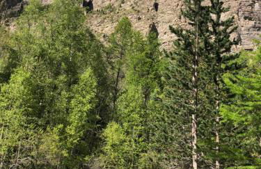 LE PASSE-MONTAGNE Bel appartement avec terrasse dans vieille ferme de montagne rénovée - Foto 36