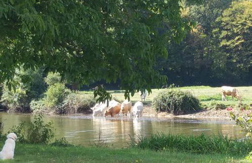 Maison de charme avec piscine couverte, vélos, barque et coin pêche, proche Châteauroux et George Sand - FR-1-591-168 - Foto 29