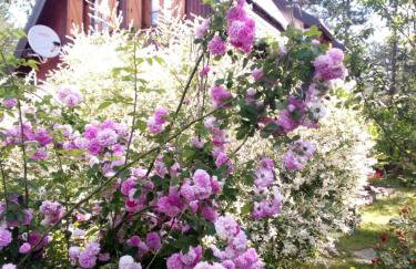 Plitvice Lakes Holiday Lodge - Foto 32