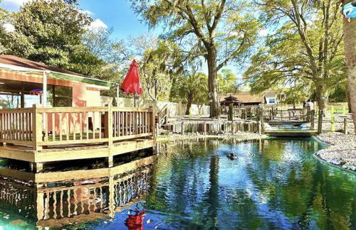 ON ISLAND Ocean View Beachy Studio in Campy 1970s Converted Motel - Foto 18