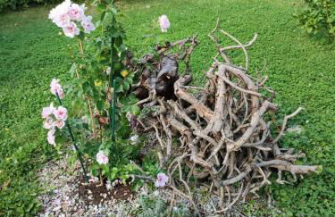 Anette's nettes Dachjuchhe - Foto 26