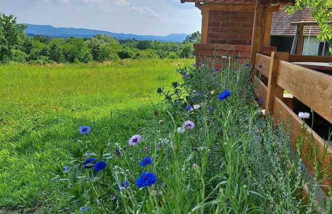 Kokotova Hiža - Foto 31