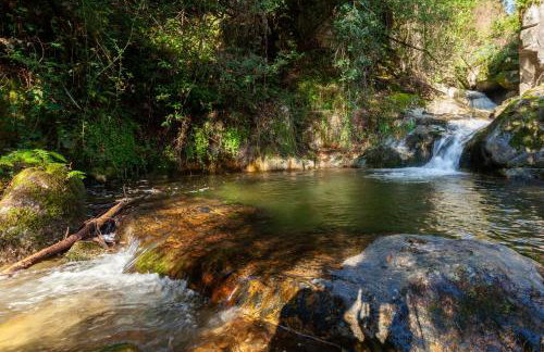 Casa da Eira "Lavoura da Bouça - Fruta Bio" - Foto 41