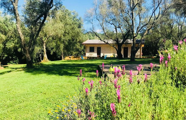 Green Park Residence - Foto 51