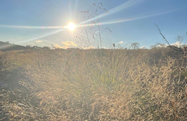 Doppelhaushalfte in Hasselfelde - Foto 20