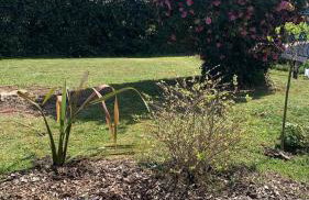 Petite maison de pêcheur pour 4 Personnes au bord de mer - Foto 17
