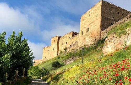 Casa Rural Las Tainas de Carabias - Foto 47