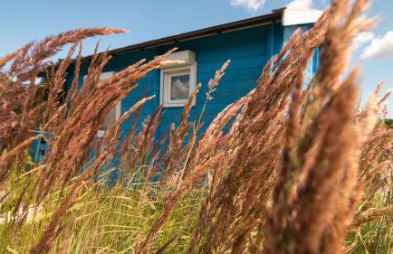 Domki pod Łebą - Photo 41