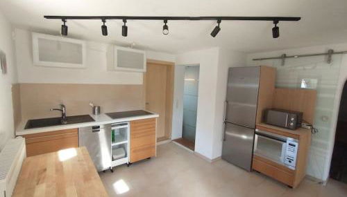 Schicke hundefreundliche Wohnung - Foto 2