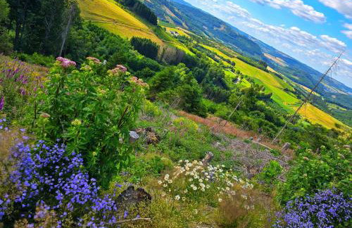 Ferienwohnungen Dorfliebe Dörnberg - Photo 30