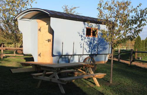 Schäferwagen im Leipziger Neuseenland - Foto 12