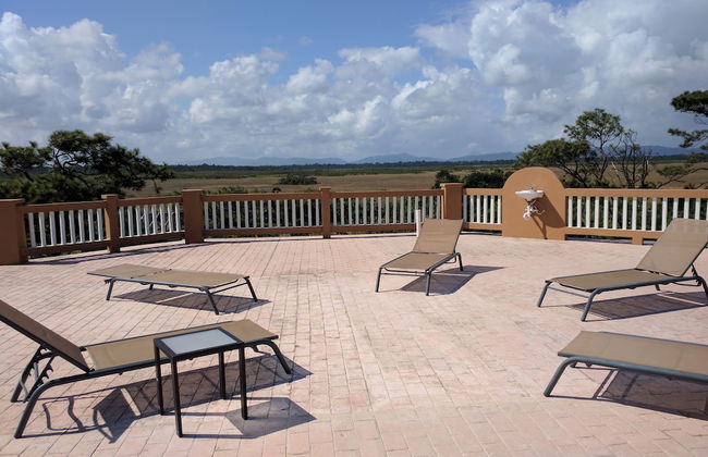 Savannah Sand Dollar - Foto 16