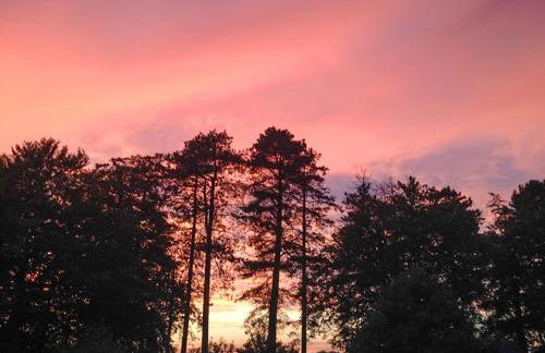 Brewhouse - Uk48743 - Foto 11