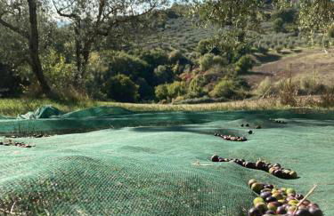 Agriturismo Portoreschi - Foto 15