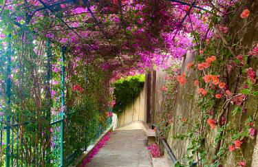 casa lella home - Foto 4