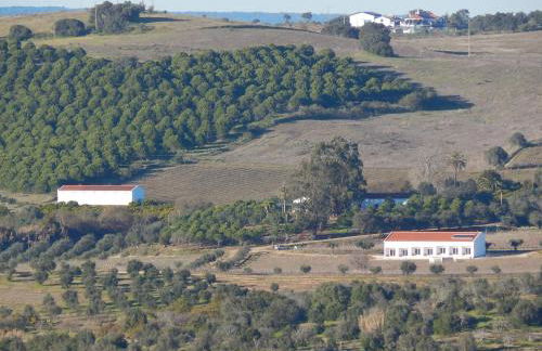 Quinta das Ratoeiras - Foto 24