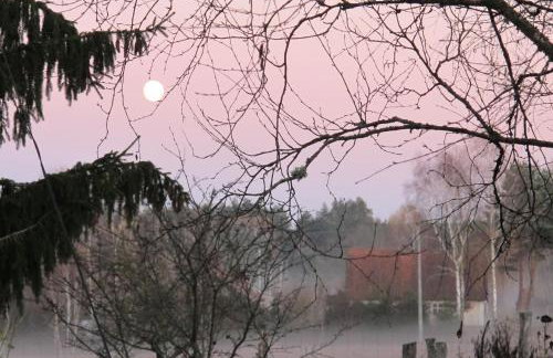 domki na leśnej polanie - Foto 31