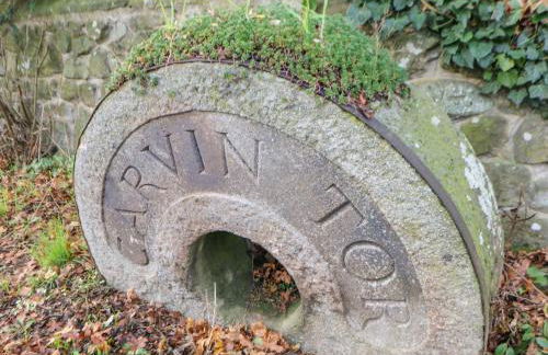 Carvin-Tor - Foto 26