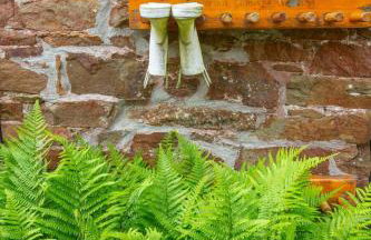 Puddleduck Valley - Dog Friendly - Foto 80