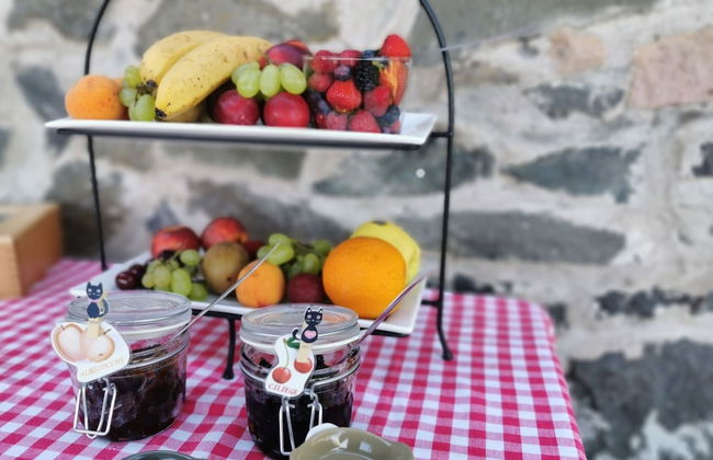 Casale dei Gelsi Bed & Breakfast - Foto 66