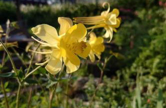 Apartment Kerstin by Interhome - Foto 18