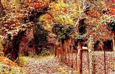 ALOJAMIENTO RURAL EL CASTAÑO - Foto 57