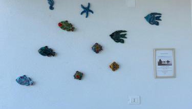 TENUTA TAURIANUM PanoramicHouse e PanoramicB&B - Foto 5