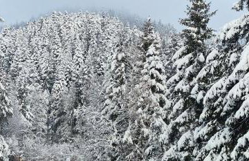 Apartament u Joli - Foto 37