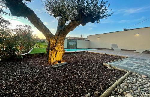 Turismo e Alojamento dos Lagos do Sabor - Piscina & SPA - Photo 13