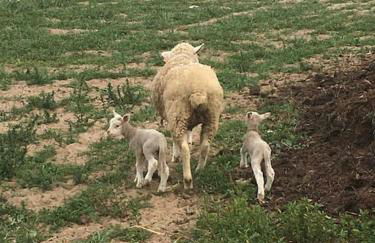 Modern Farmhouse AYO South of Melides - Foto 33