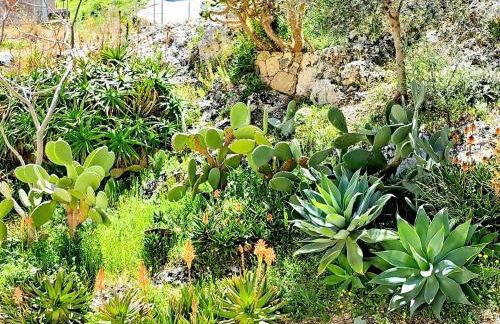 Appartamento Castel Sant'Angelo - Foto 35