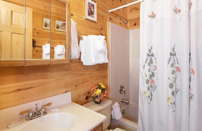 Alpine Ski Lodge - Foto 17