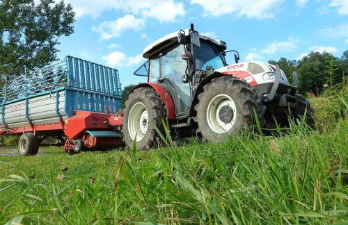 Ferienwohnung Lindenhof - Foto 27