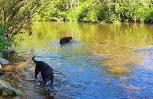 Chillingham lodge with hot tub Felmoor Park - Foto 20