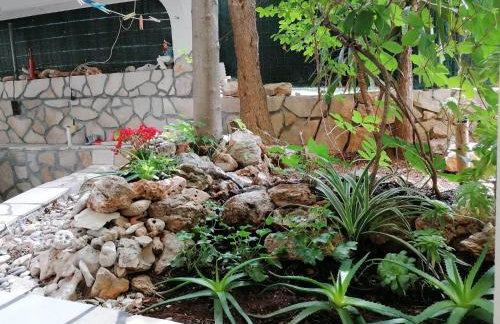 Apartments Misini Dvori - Foto 50