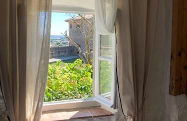 Le Logis des Remparts à l'intérieur de la Cité médiévale, Jardin privé, Parking inclus - Foto 21