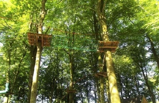 Etape en forêt - Foto 62