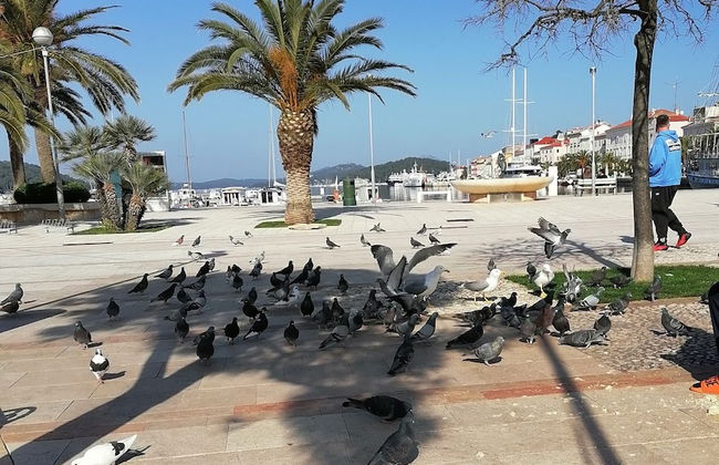 Stunning 1-bed Apartm. Near the Beach in M. Lošinj - Foto 27