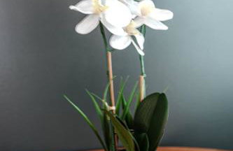 All You Need | Med Center Studio | Gated Parking! - Foto 22